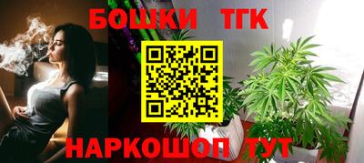 индика Заводоуковск