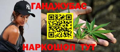 индика Заводоуковск