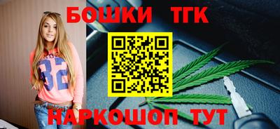 индика Заводоуковск