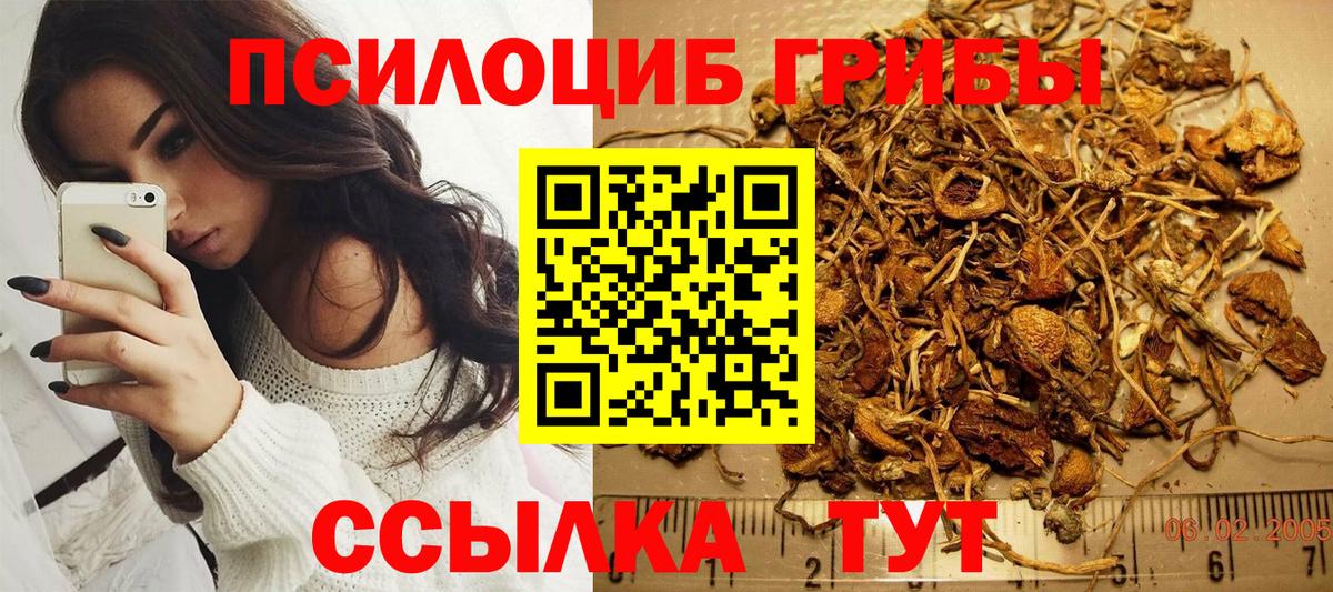 Галлюциногенные грибы ЛСД Луховицы