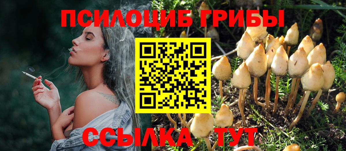 Луховицы  закладки  Галлюциногенные грибы прущие грибы  Вход с VPN  Галлюциногенные грибы прущие грибы 